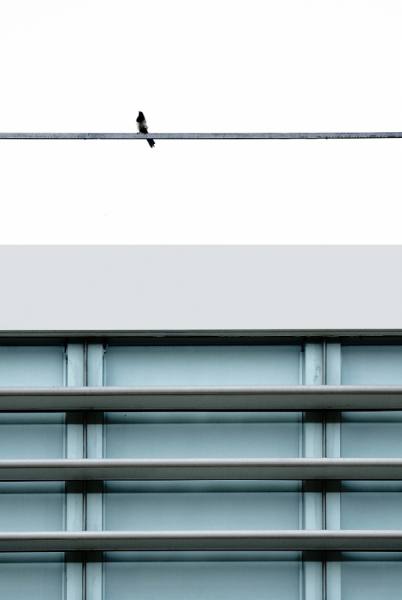 Photograph Juan De Villalba En La Linea on One Eyeland